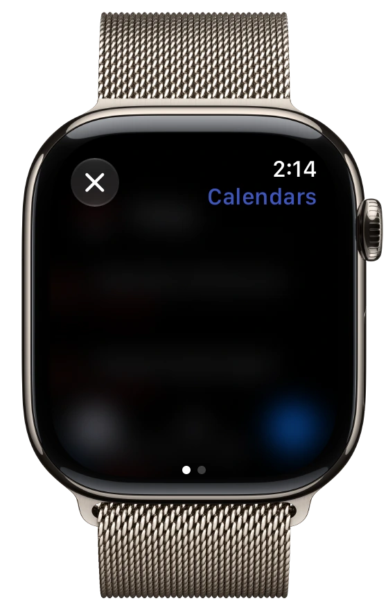 Timelane settings on Apple Watch